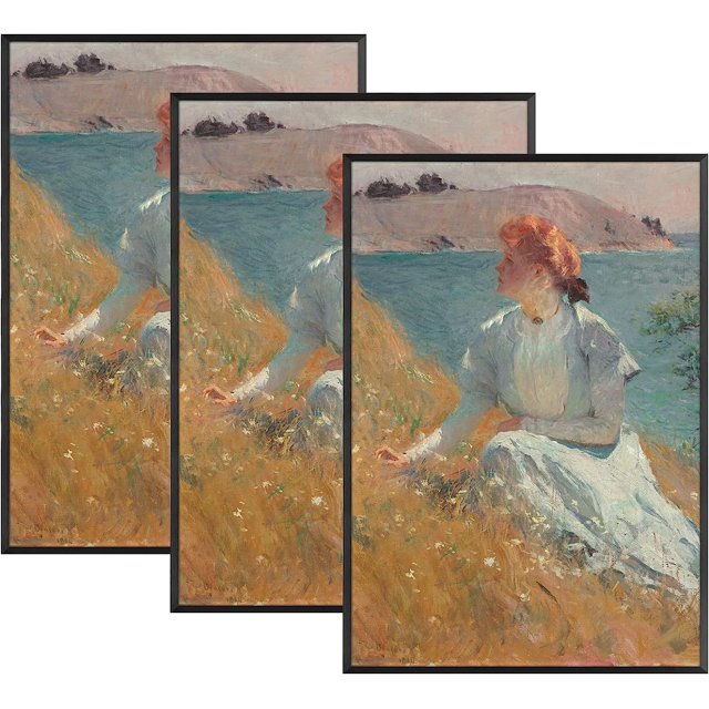 , 16X24 Aluminum Black Photo Frame With Plexiglass Swivel Tabs