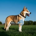 thumbnail image 1 of Retractable Dog Leash - 16ft with Light and Poop Bag Dispenser Upgraded Locking System Non- Handle for Training and Walking, 1 of 6