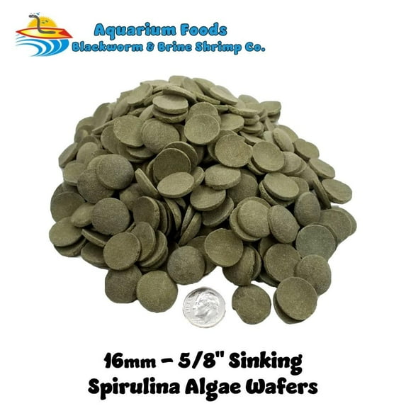 16mm-5/8" Spirulina Algae Sinking Wafers, Tropical Fish Food...8oz