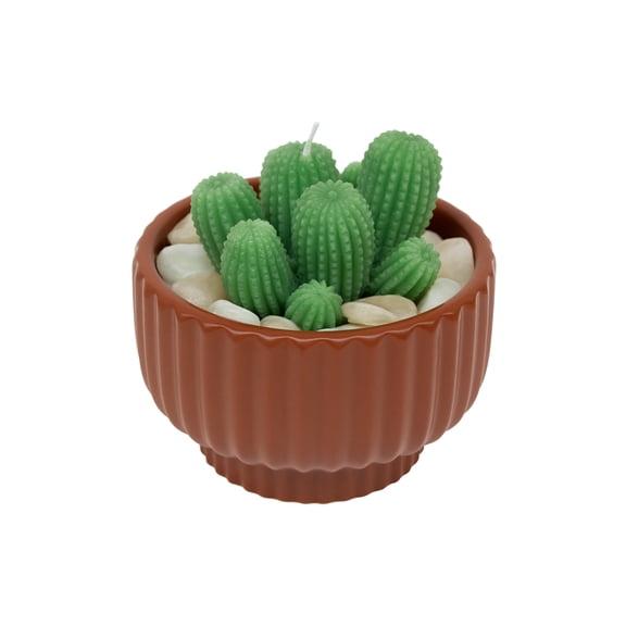 16oz. Brown Potted Succulent Candle by Ashland - Spring Home Decor