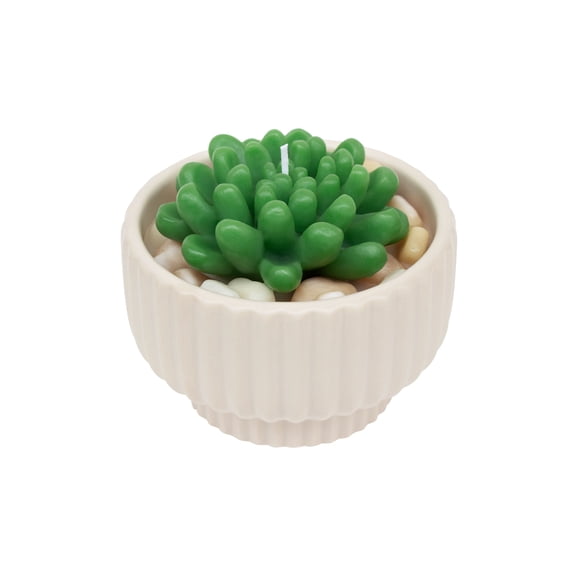 16oz. Cream Potted Succulent Candle by Ashland  - Spring Home Decor