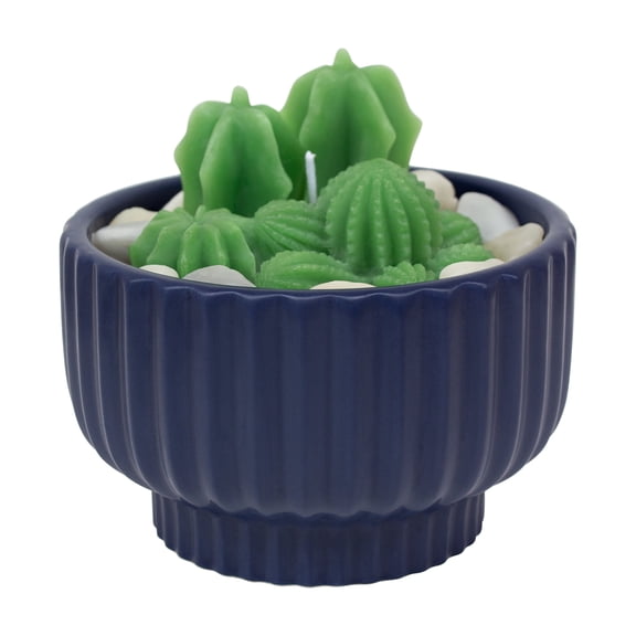 16oz. Navy Potted Succulent Candle by Ashland - Spring Home Decor
