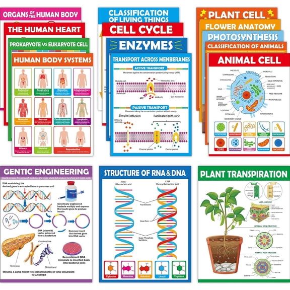 16pc Science Posters - Biology & Life Science Charts for Classroom & High School Education
