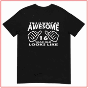 16th Birthday 16 Year Old This Is What An Awesome 16 Year Old Unisex T Shirt V16471 Size S- 5XL