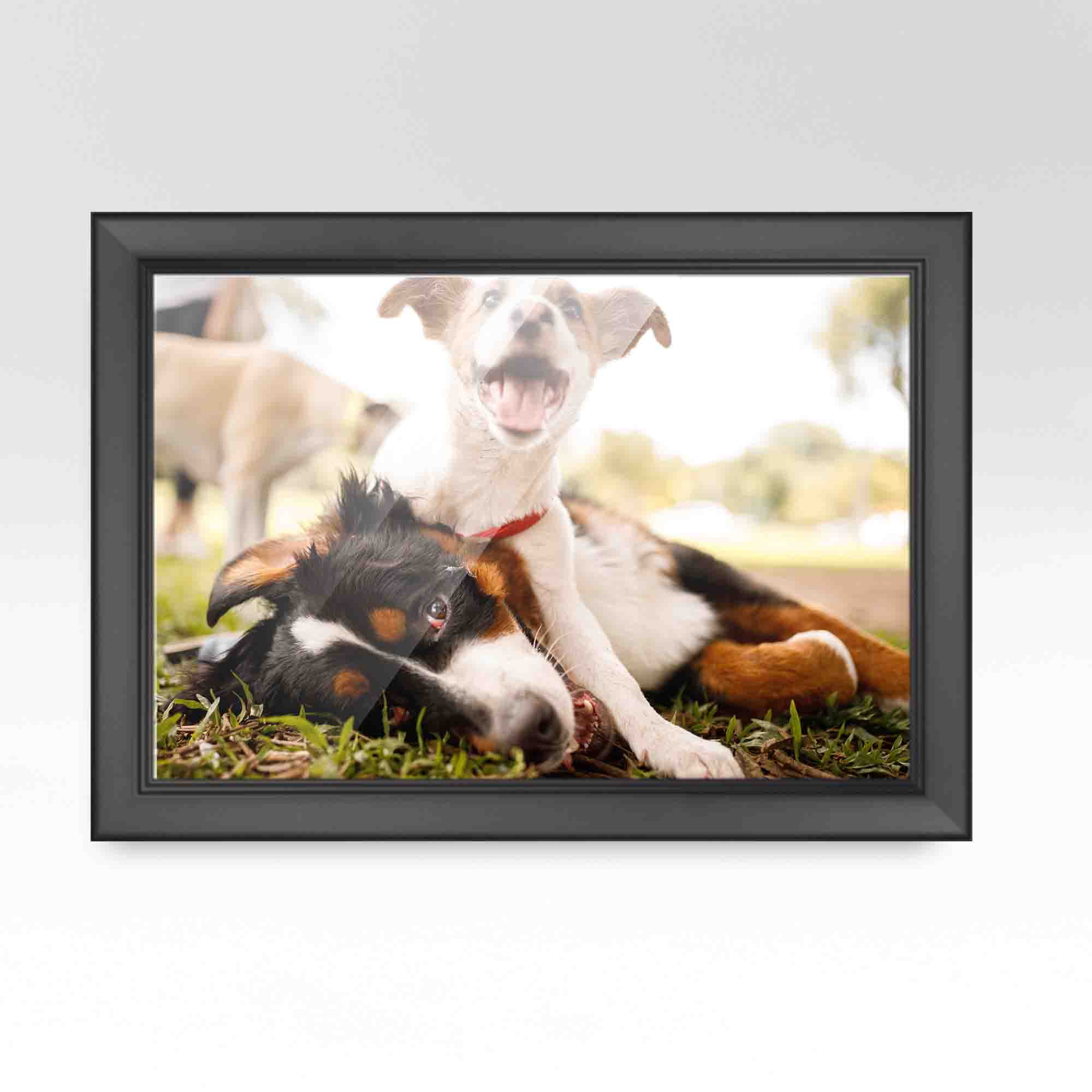 CustomPictureFrames.com 12x12 Frame Silver Real Wood Picture Frame Width 1  inches