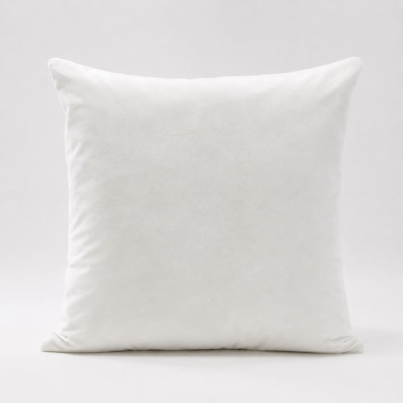 16x16 Pillow Inserts 1P, Square Throw Pillow Insert for Couch, Soft Fluffy Down Alternative Cushion Inserts, Decorative Pillow Inner for Sofa Bed Living Room, Brushed