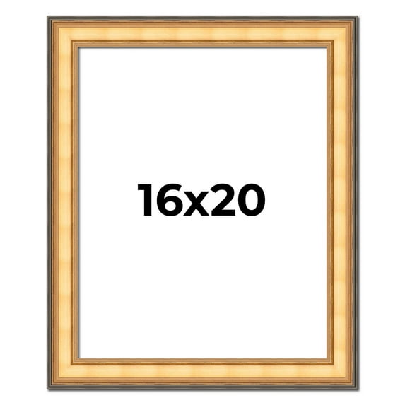 16x20 Frame Gold Plein Aire Solid Wood Picture Frame Width 2 Inches | Interior Frame Depth 0.5