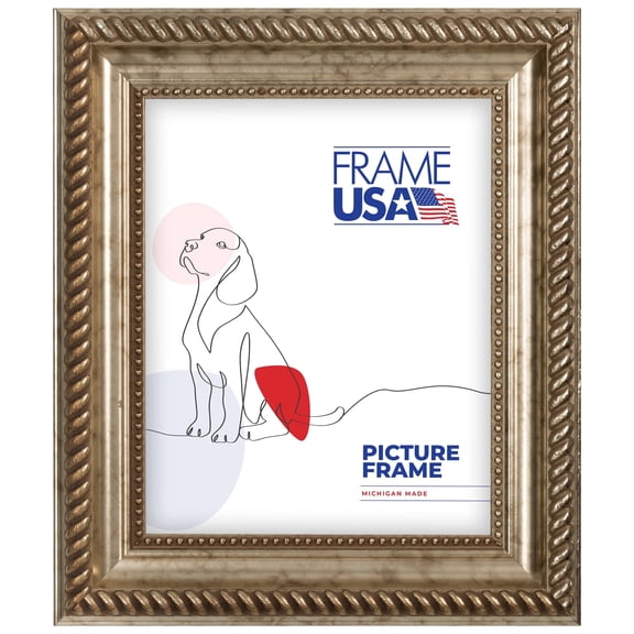 16x20 Picture Frame  Silver Napolean Style 21178901, 2 Inch MDF Moulding, Includes Plexiglass and Backing  Wall Display Frame for Art, Posters, or Photos  Frame USA
