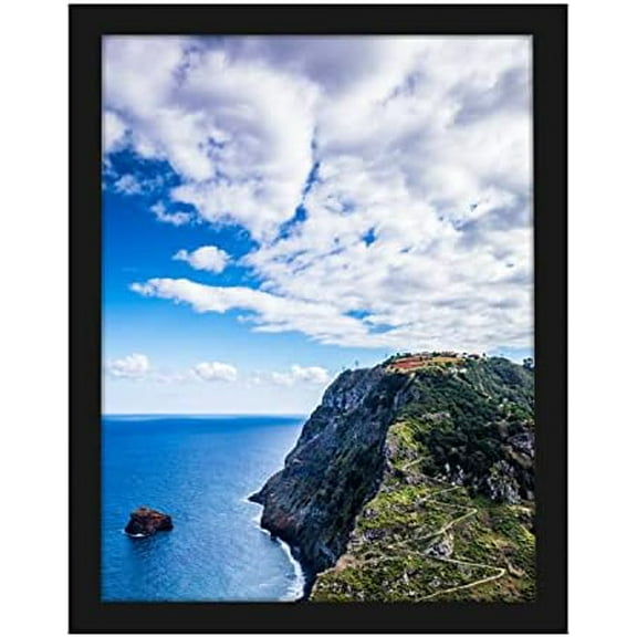 16x21 Black Picture Frame, Wall Mounting Horizontally or Vertically, Decoration for Photos, Paintings, Posters, Artwork$$Home Decor, Kitchen, & Other