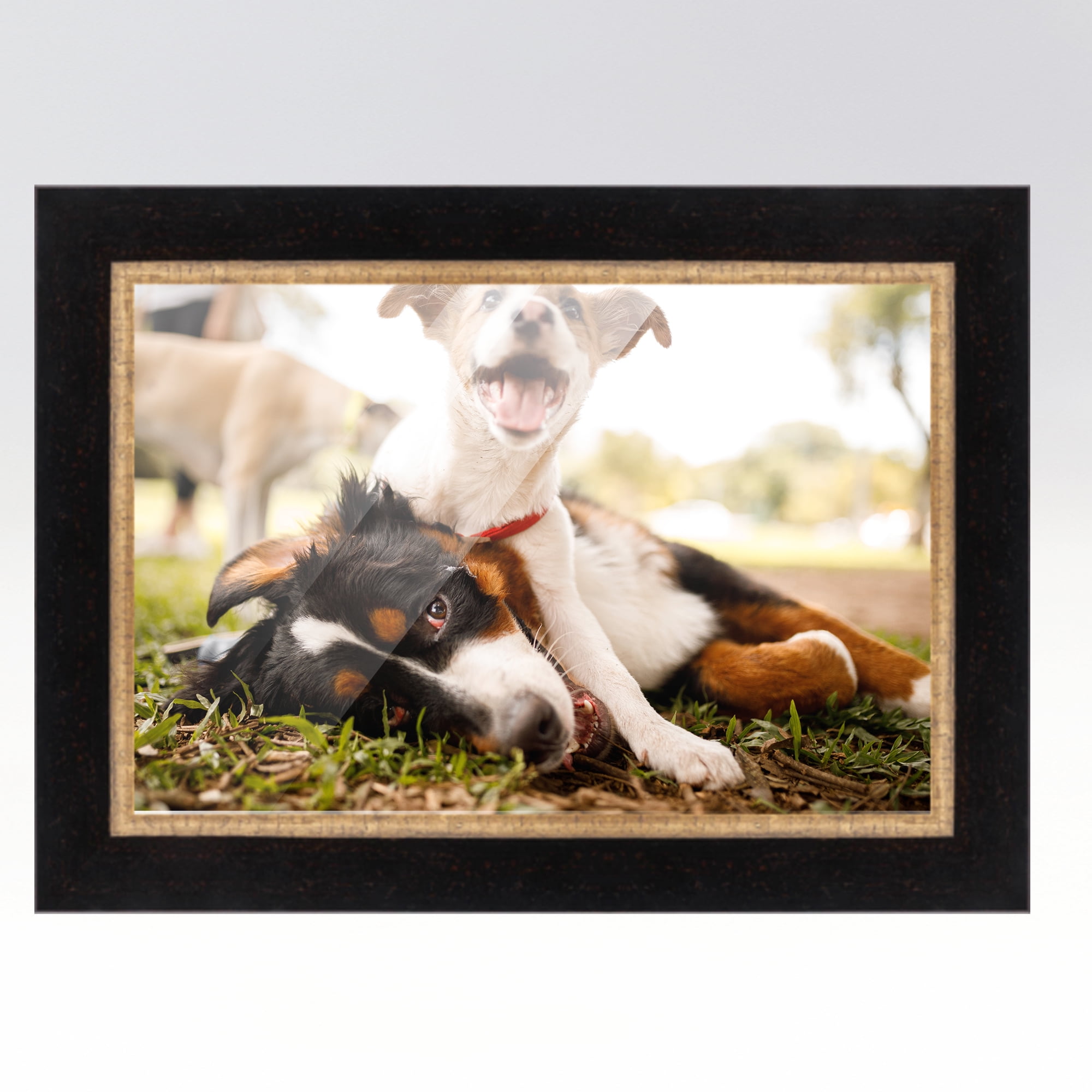 CustomPictureFrames.com 16x24 Frame Gold Real Wood Picture Frame Width 1.75 Inches | Interior Frame Depth 0.5 Inches | Serpero Traditional Photo Frame