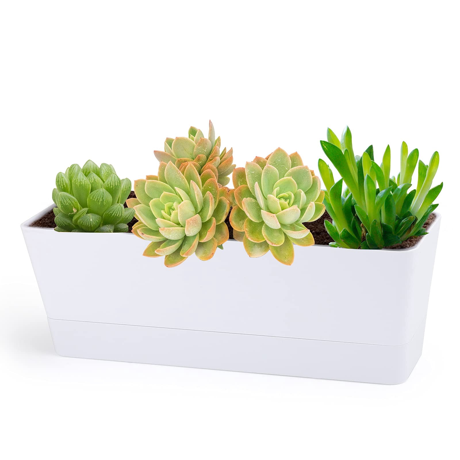 16x3.8 Inch Window Box Planter with Tray, Lightweight Plastic Rectangle Pot for Succulent Cactus, Flower, Vegetable, Herb Gardening, Indoor Outdoor Use