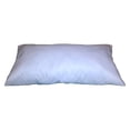 thumbnail image 1 of 16x50 Inch Rectangular Throw Pillow Insert Form, 1 of 2