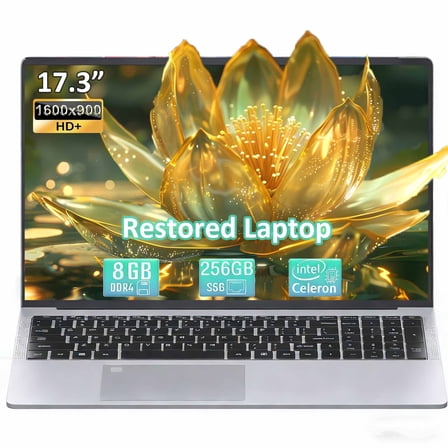 17.3" Business Laptop Computer Webcam Windows 11 Intel Quad-Core N5095 Processor 8GB RAM 256GB SSD Backlit Keyboard Wi-Fi Fingerprint Type-C