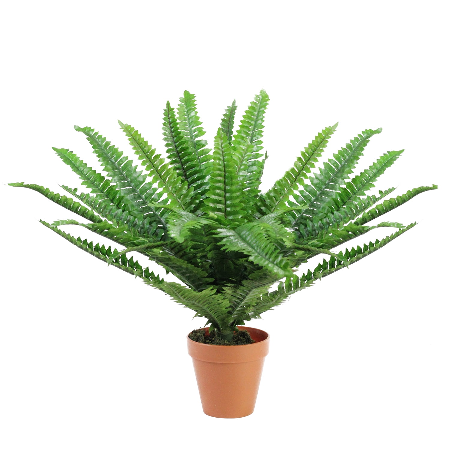 17.5" Potted Artificial Tall Green Boston Fern Plant
