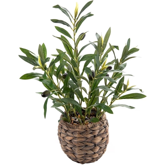 17.7" Small Boho Artificial Olive Plant, Faux Greenery in Brown Handwoven Rattan Basket, Ideal for Office Desk Kitchen Shelf Home Decor
