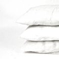 thumbnail image 1 of 17.7 x 17.7 in. Pillow Inserts - Set of 3, 1 of 1
