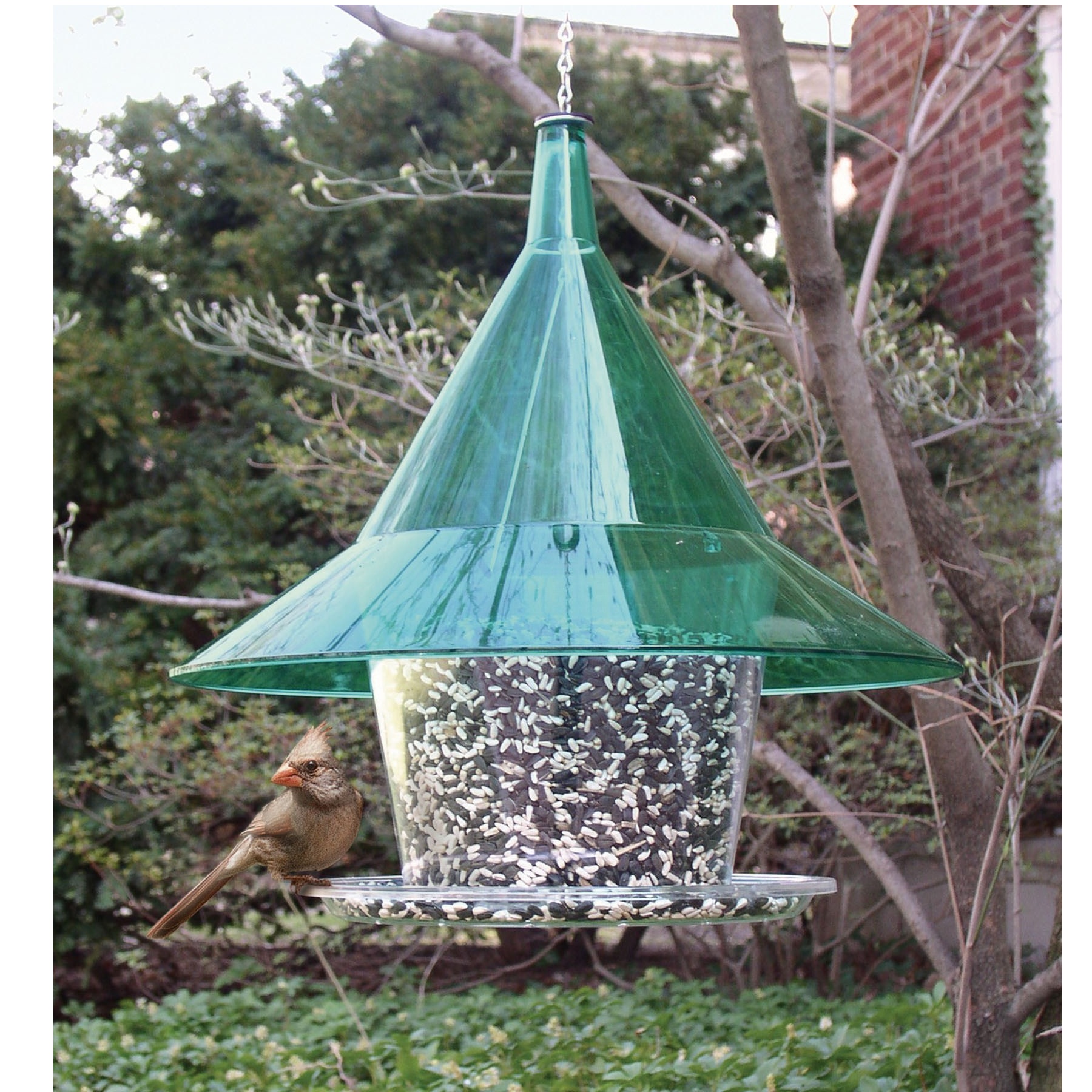 17" Green Circular Full-View Patio Mandarin Sky Cafe Bird Feeder