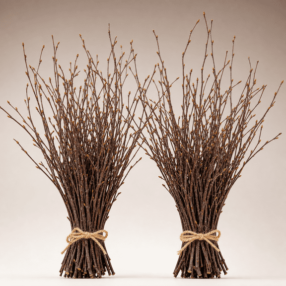17 Inch Decorative Birch Twigs Birch-2 Bundle For DIY Crafts, Wedding Arrangements, Home Decor