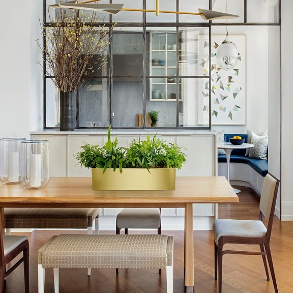 17" Large Stainless Steel Planter Box with Drain Holes and Water Reservoir, Rectangle Succulent Trough Planter Pot for Indoor Outdoor Windowsill, Table Decor (Brushed Gold)