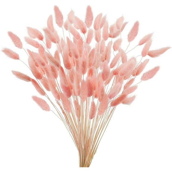 17 Natural Bunny Tails Dried Flowers, 240 Pcs Dried Lagurus Ovatus, Dried Pink Pampas Grass Decor for Farmhouse Flower Arrangements Wedding Home Party Decorations