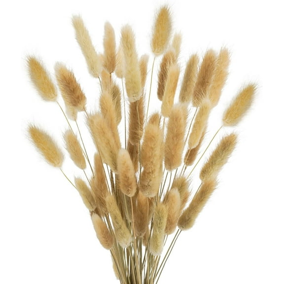 17’’ Natural Bunny Tails Dried Flowers, 50 Pcs Dried Lagurus Ovatus, Dried Pampas Grass for Flower Arrangements Wedding Centerpieces Home Boho Baby Shower Party Fall Decorations (Orange) A