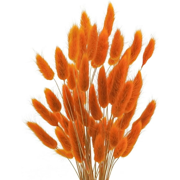 17’’ Natural Bunny Tails Dried Flowers, 50 Pcs Dried Lagurus Ovatus, Dried Pampas Grass for Flower Arrangements Wedding Centerpieces Home Boho Baby Shower Party Fall Decorations (Orange)