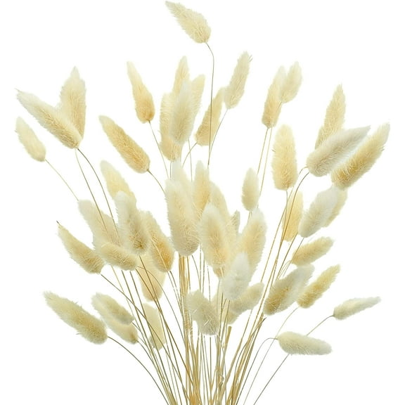 17’’ Natural Bunny Tails Dried Flowers, 50 Pcs Dried Lagurus Ovatus, Dried Pampas Grass for Flower Arrangements Wedding Centerpieces Home Boho Baby Shower Party Fall Decorations (Orange)