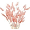 thumbnail image 1 of 17’’ Natural Bunny Tails Dried Flowers, 50 Pcs Dried Lagurus Ovatus, Dried Pink Pampas Grass Decor for Farmhouse Flower Arrangements Wedding Home Boho Party Decorations, 1 of 4