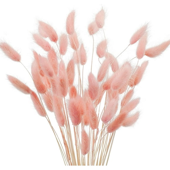 17’’ Natural Bunny Tails Dried Flowers, 50 Pcs Dried Lagurus Ovatus, Dried Pink Pampas Grass Decor for Farmhouse Flower Arrangements Wedding Home Boho Party Decorations