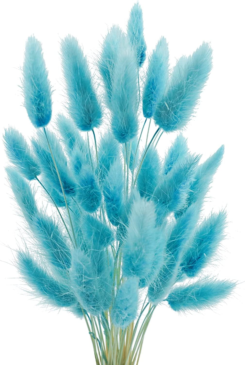 17’’ Natural Bunny Tails Dried Flowers, 50 Pcs Dried Lagurus Ovatus