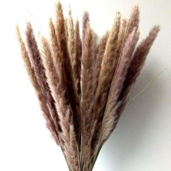 17" Dried Grass,Topboutique Natural Dried Artificial Flowers Arrangements,30 Pcs Real Dried Reed Flower,Dried Grass for Vase Flower Arrangement Wedding Home Boho Decor,Brown