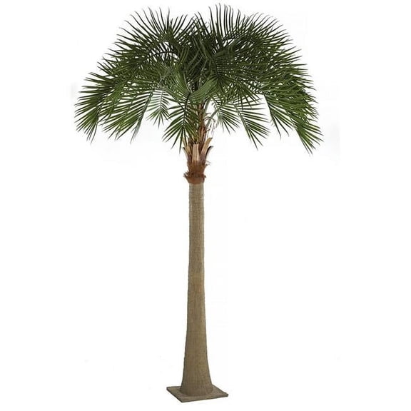 17 ft. Royal Palm Tree, Green
