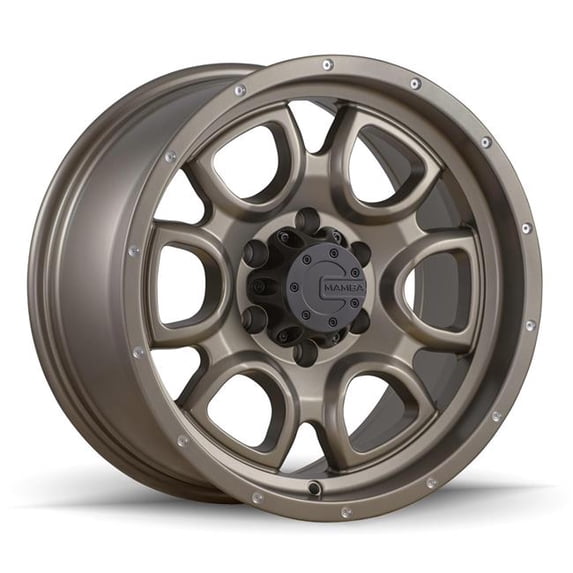 17 x 9 in. 5 x 127 mm Bolt Pattern 12 mm Offset M19 Wheel with Drill Holes, Bronze