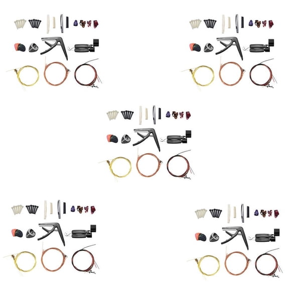170 PCS Including Guitar Picks,Capo,Acoustic ,3 in 1String Winder,Bridge Pins,6 String Bone Bridge Saddle