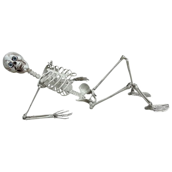 170Cm Halloween Skeleton Prop Human Full Size Skull Hand Life Body Anatomy Model Decor