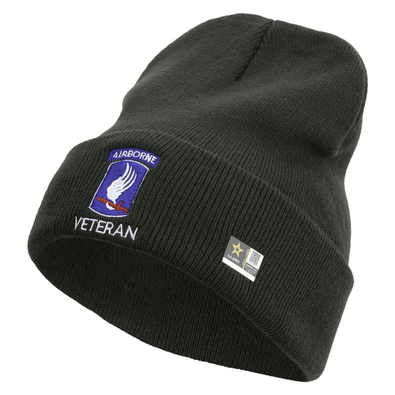 173rd Airborne Brigade Combat Team Veteran Embroidered 12 Inch Long Knitted Beanie - DK Grey OSFM