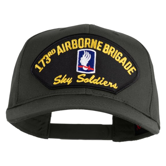 173rd Airborne Brigade Sky Soldier Patched Solid Cotton Twill Pro Style Cap - Charcoal OSFM
