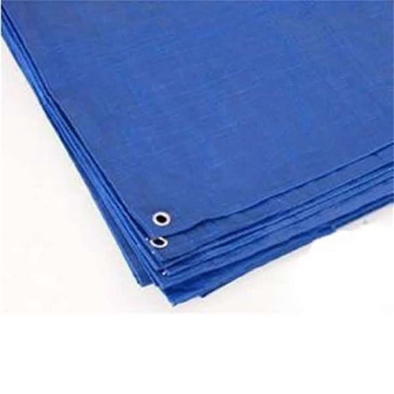 17430 10 ft. x 12 ft. Reinforced Rip-Stop Polyethylene Tarps - Blue