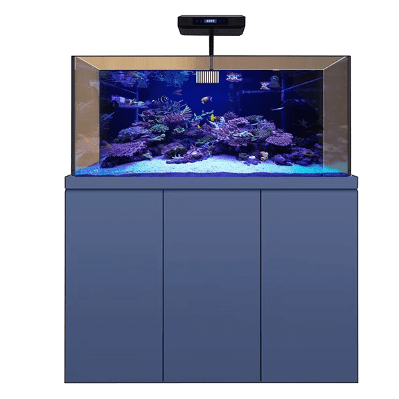 Aqua Dream 175-Gallon Coral Reef Aquarium, Blue, 59L x 24W x 53.3H in, 1 Count