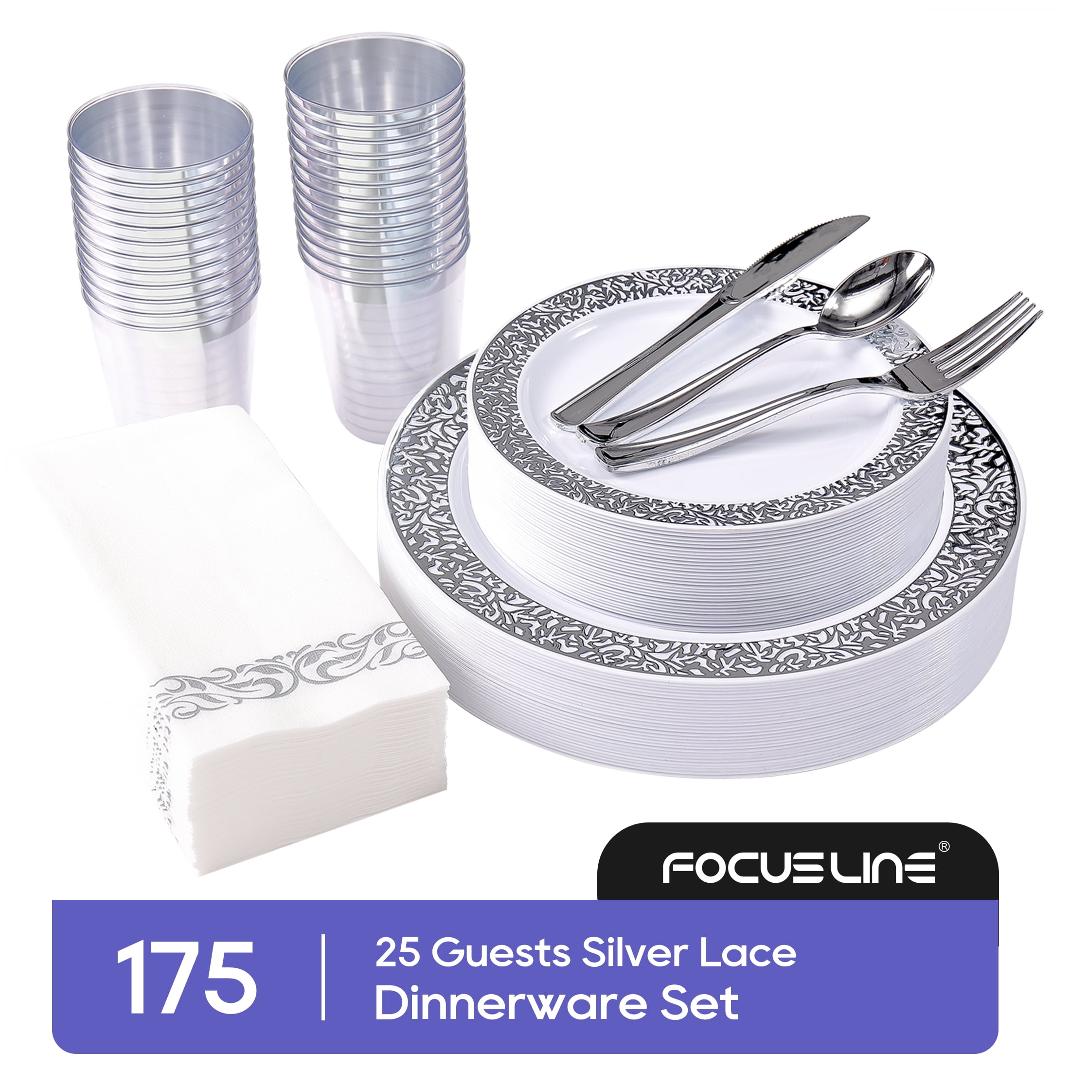 Silver Rimmed Disposable Dinnerware Set for 25 Guests
