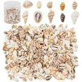 thumbnail image 1 of 175g Mixed Ocean Beach Spiral Seashells 10 Styles Natural Craft Seashell Charms Small Conch Shell with Hole, 1 of 9