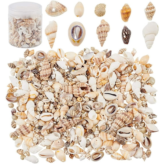 175g Mixed Ocean Beach Spiral Seashells 10 Styles Natural Craft Seashell Charms Small Conch Shell with Hole