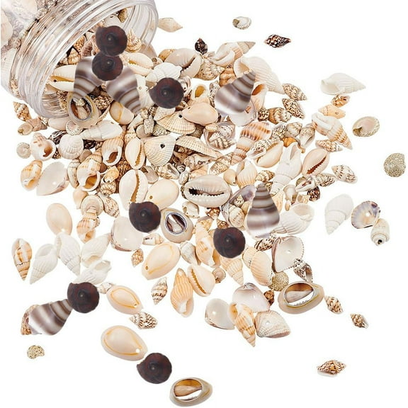 175g Mixed Ocean Beach Spiral Seashells 10 Styles Undrilled/Drilled Natural Craft Seashell Charms Small Conch Shell with Hole for Home Party Wedding Decor Candle Fish Vase Filler for making