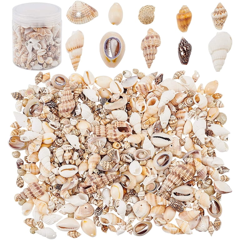 conch shell.sex toy Snaily Navigator: Fantasy Snail Grinder Sex Toy – Vibrating Strapon Pa –  Domlust