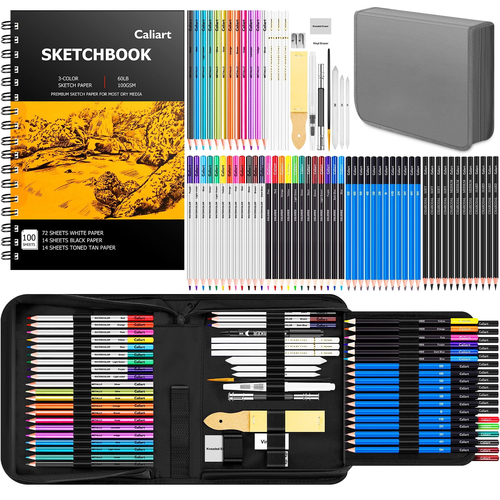 176PCS Art Supplies Sketching Kit with 100 Sheets 3-Color Sketch Book, Graphite Colored Charcoal Watercolor & Metallic Pencils, Drawing Set Gifts for Adults Teens Girls Boys Kids