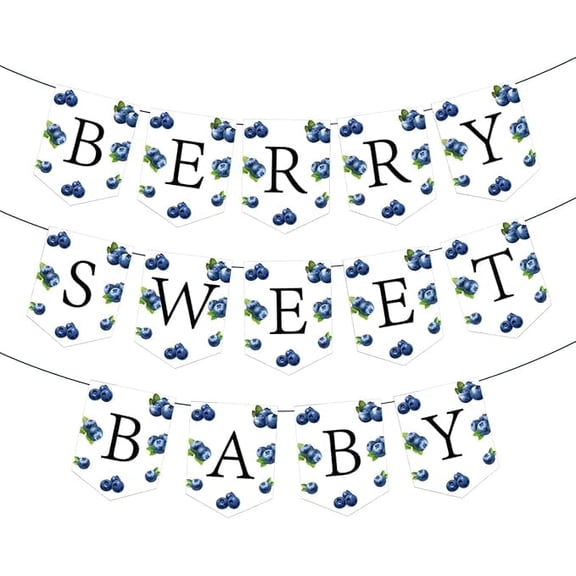 17Pcs Berry Sweet Baby Banner, Blueberry Themed Photo Decoration Props, Baby Shower Birthday Party Decorations Supplies