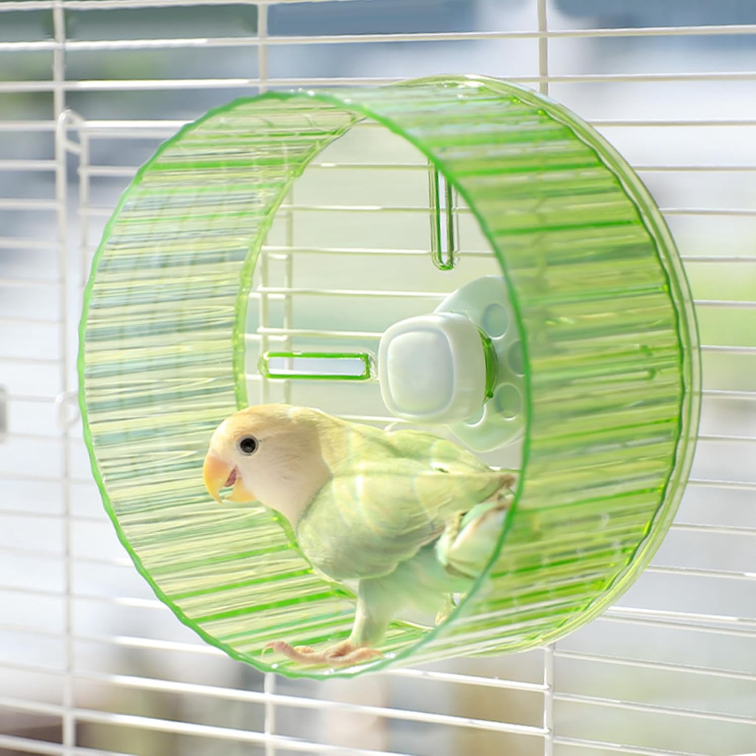 17cm Parrot Silent Running Wheel, Parrot Exercise Wheel, Birds, Parrots, Turtles, Hamsters, Small Animal Quiet Running Wheel (Green)