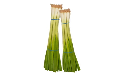 Green Onions Bunch 2x24 ct RPC