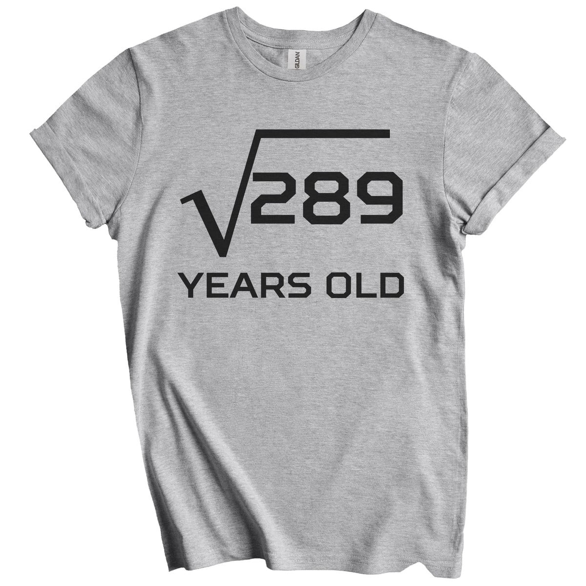 Design For Formulas Math 17th Birthday Square Root 289 Math Design T-Shirt - Walmart.com