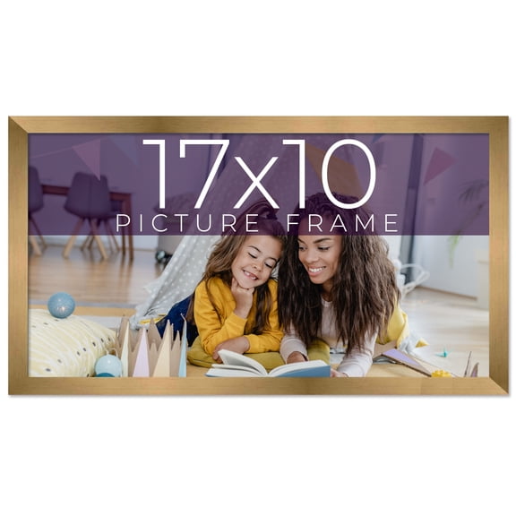 17x10 Frame Gold Bronze Solid Wood Picture Frame Width 0.75 Inches | Interior Frame Depth 0.5